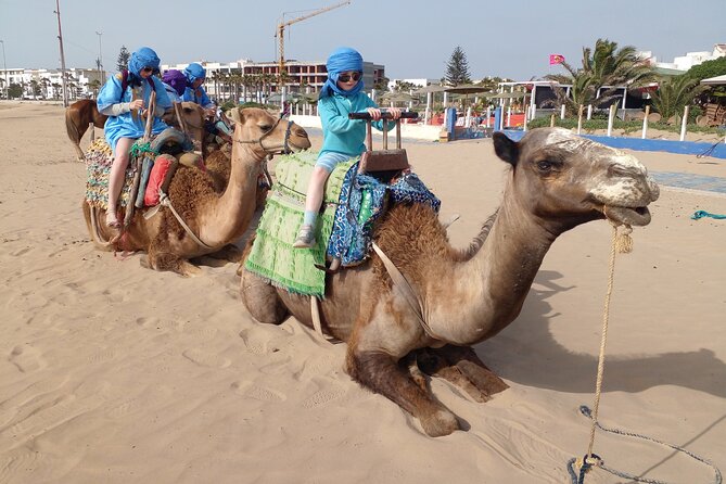 Essaouira: 2H camel/pick up and drop off including - The Jimi Hendrix Café tea stop (and snacks) on the way