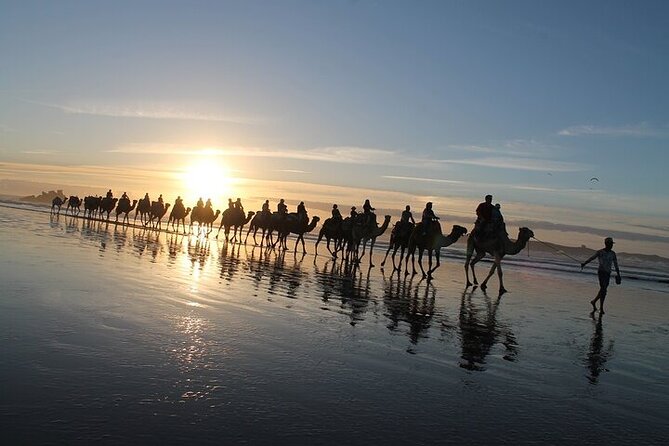 Essaouira: 2H/ Quad + 2H/ Dromedary free transfer - Diabat to Essaouira Beach: how this quad-and-camel loop works