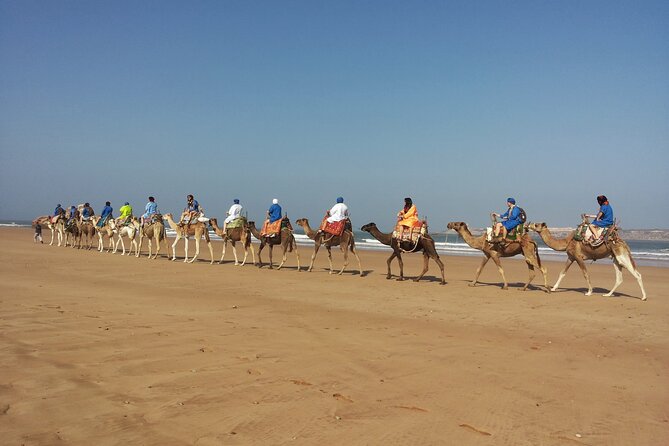 Essaouira: 2H/ Quad + 2H/ Dromedary free transfer - What your guide experience feels like in real life