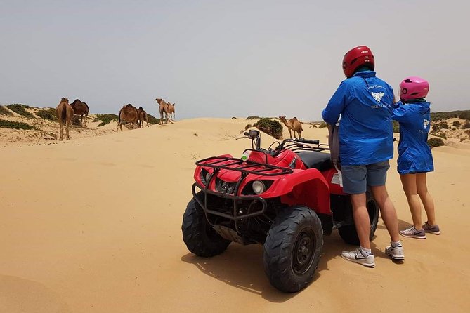 Essaouira: 2H/ Quad + 2H/ Dromedary free transfer - Time on the sand: what to expect and what to pack