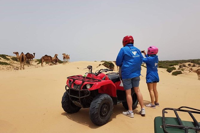 Essaouira: 2H/Quad+1H/Dromedary ride free transfer - Transfers and the private-group vibe: easier than you think
