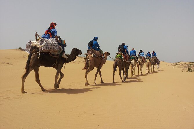 Essaouira: 3-Hour Camel Tour - Key points to know before you go