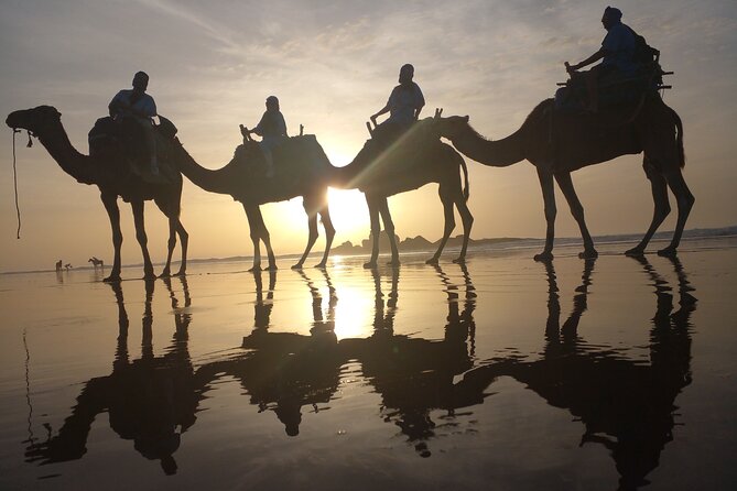 Essaouira: 3-Hour Camel Tour - Riding With a Professional Guide (Imad Is a Big Name Here)