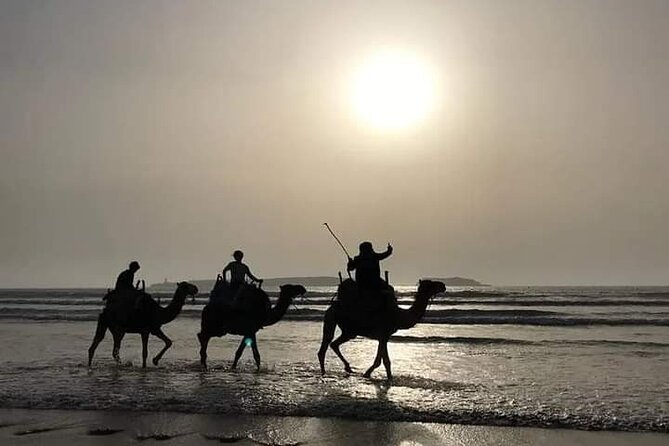 Essaouira: 3-Hour Camel Tour - Sunset Views Over the Atlantic, With Real Darkness
