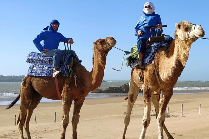 Essaouira: 3-Hour Camel Tour - Private Tour Value: Why $56.91 Can Still Feel Fair