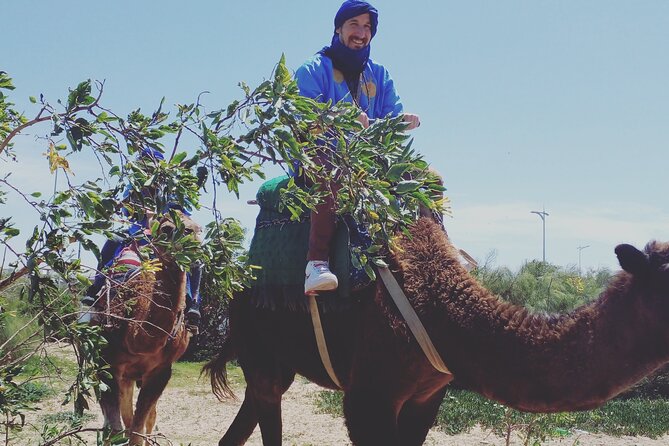 Essaouira: 3-Hour Camel Tour - What the 3-Hour Timetable Actually Means on the Ground