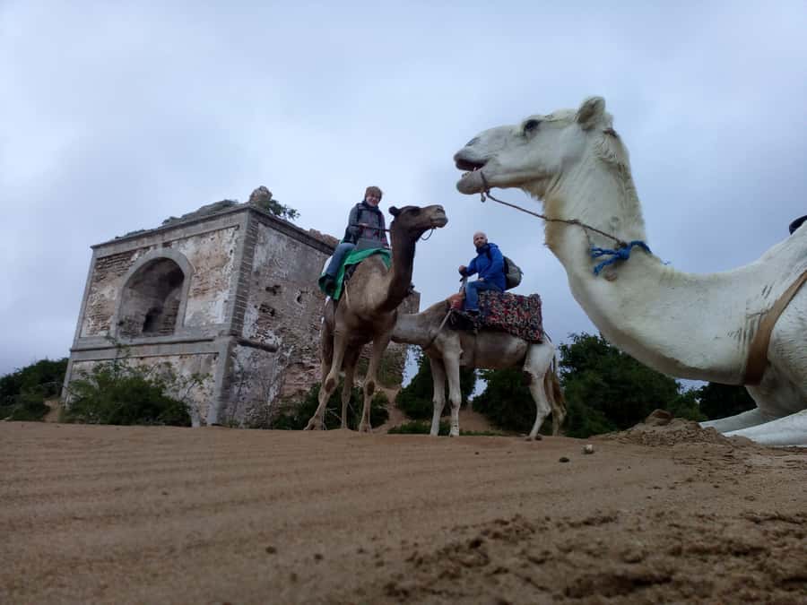 Essaouira: 3-Hour Dromedary Ride and Berber Tent Overnight - Key Points You’ll Care About