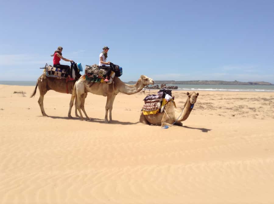 Essaouira: 3-Hour Dromedary Ride and Berber Tent Overnight - Why the Essaouira-to-Diabat Camel Route Feels Like a Change of Era