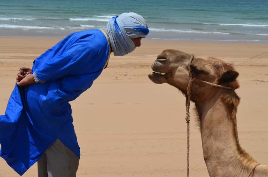 Essaouira: 3-Hour Dromedary Ride and Berber Tent Overnight - 3 Hours on a Dromedary: Oued River, Mogador Beaches, and Black Sultan Ruins