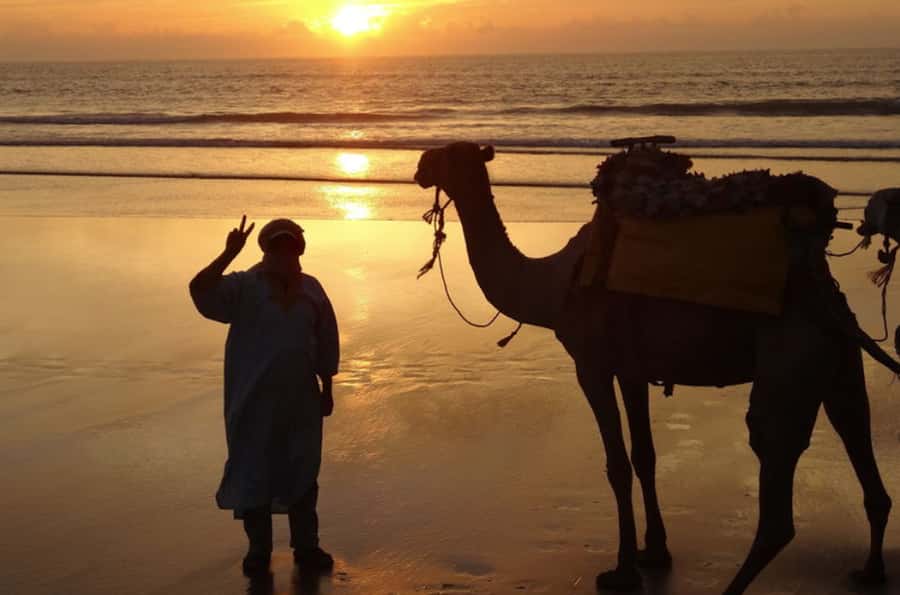 Essaouira: 3-Hour Dromedary Ride and Berber Tent Overnight - Omar Dunes to Ranch de Diabat: Where the Day Resets