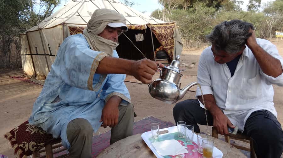 Essaouira: 3-Hour Dromedary Ride and Berber Tent Overnight - Dinner, Breakfast, and the Morning Shower Back at the Ranch