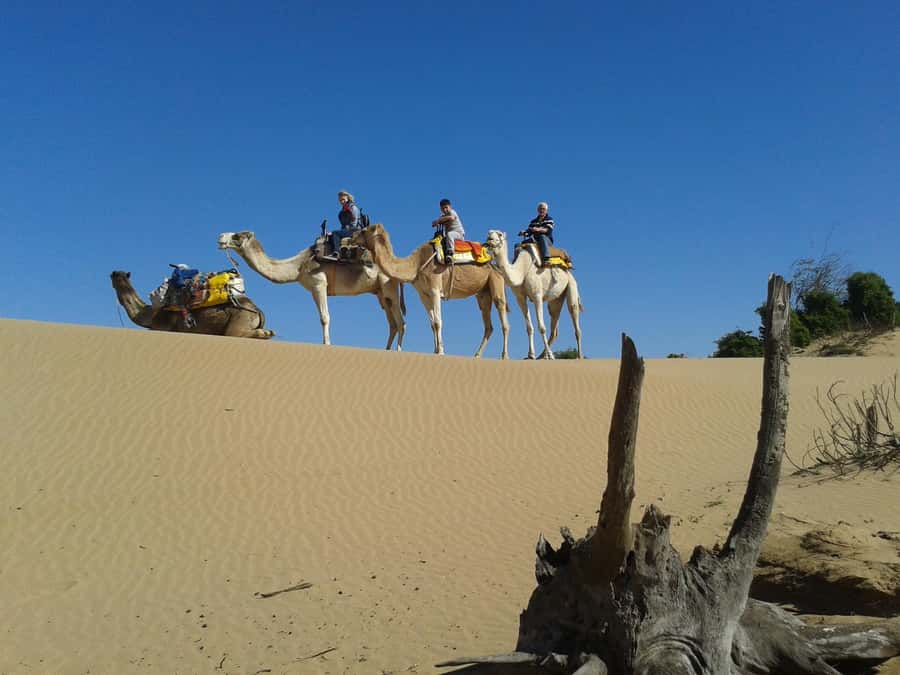 Essaouira: 3-Hour Dromedary Ride and Berber Tent Overnight - Meet at Petite Porte de Bab Marrakech: Getting on the Right Car