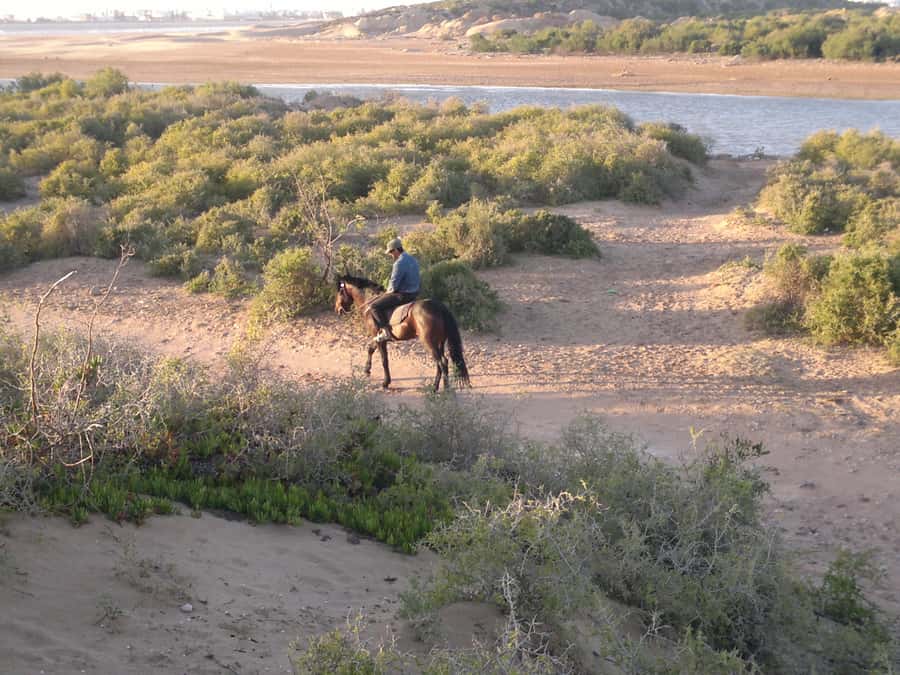 Essaouira: 3-Hour Horseback Ride - Along the sandy beach: sky, sea, sand, and when you get to gallop