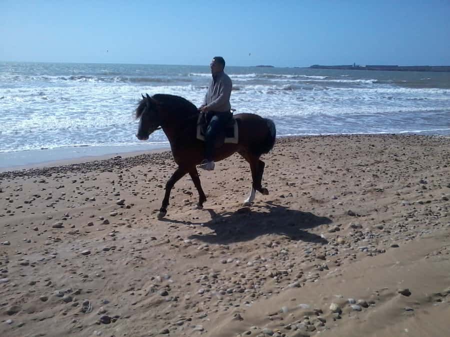 Essaouira: 3-Hour Horseback Ride - The first stretch: heading toward the river and the Black Sultan ruins
