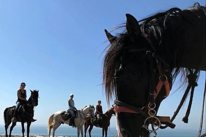 Essaouira Activities: Discover Essaouira by Quad - Price and value: is $46.34 for 3 hours a fair deal?