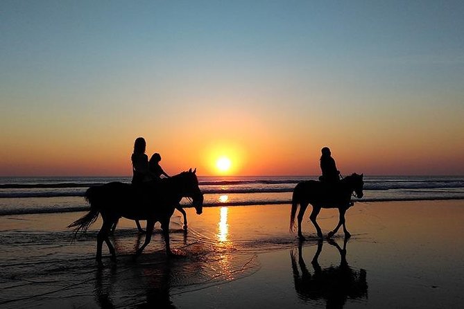 Essaouira Activities: Discover Essaouira by Quad - Horse vs dromedary camel: pick the feel you want