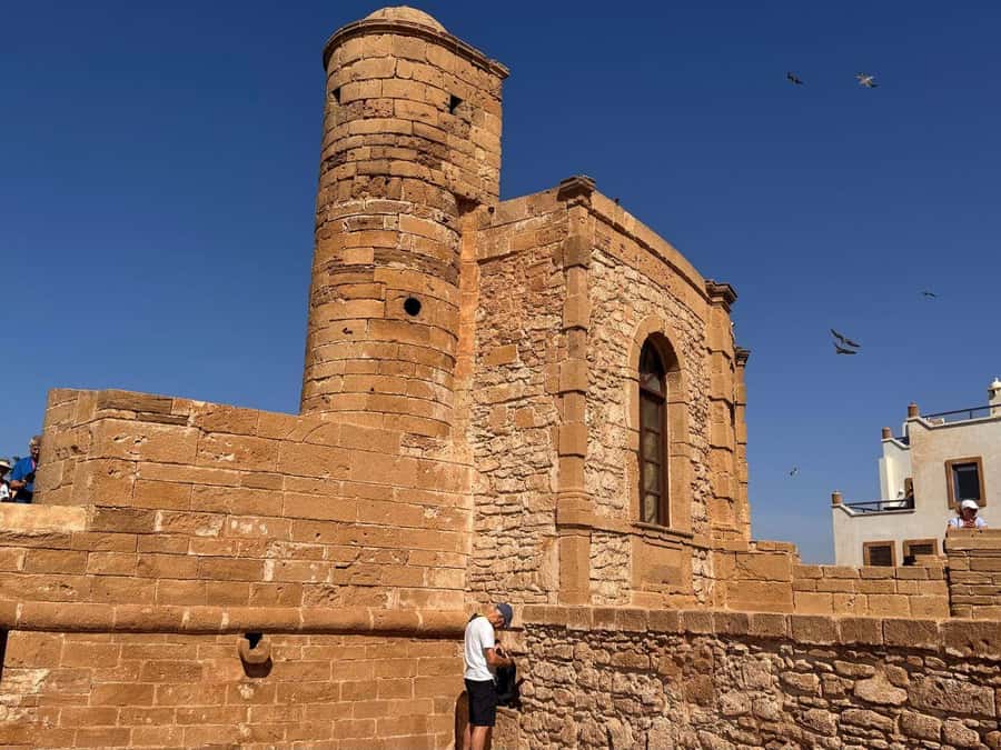 Essaouira and Atlantic Coast Full-Day Trip - Price and value: where the $18 per person really goes