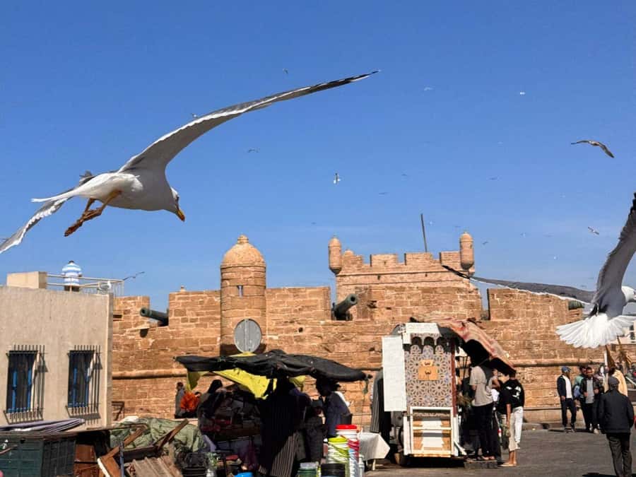 Essaouira and Atlantic Coast Full-Day Trip - Arriving in Essaouira: your first sight of the Atlantic