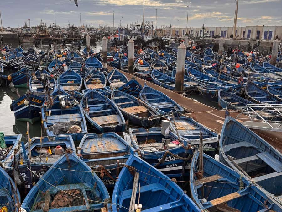 Essaouira and Atlantic Coast Full-Day Trip - Exploring the Blue Medina on your own time