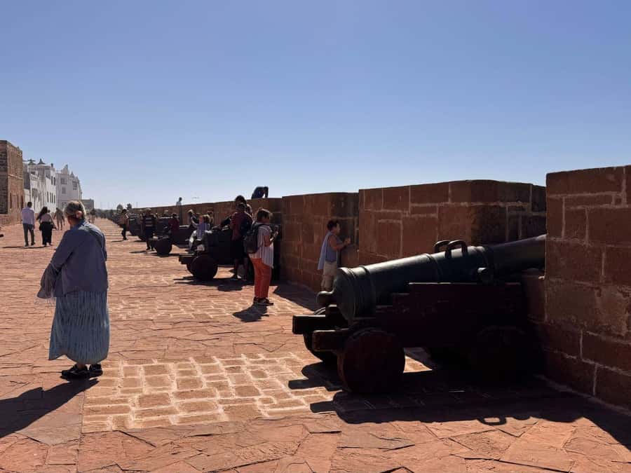 Essaouira and Atlantic Coast Full-Day Trip - Argan oil cooperative: what the visit really gives you