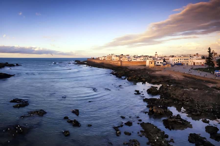 Essaouira Atlantic coast Day trip from marrakech - Who this Essaouira day trip suits best