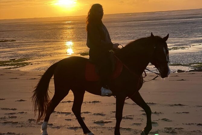 Essaouira Beach Horse Rides &Treks for All Levels - Key Highlights You’ll Actually Care About