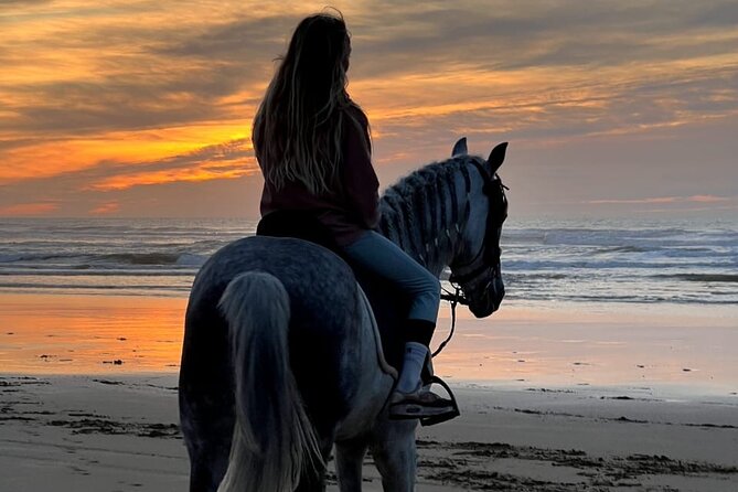 Essaouira Beach Horse Rides &Treks for All Levels - Horse Riding in Essaouira: Why This Feels Different