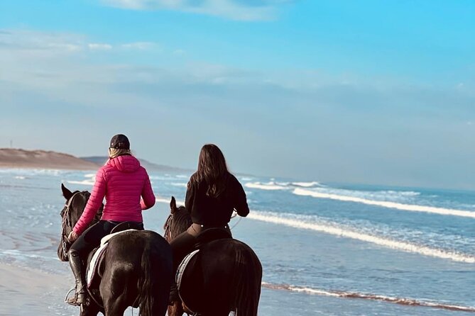 Essaouira Beach Horse Rides &Treks for All Levels - What Makes the Horses Feel Trustworthy