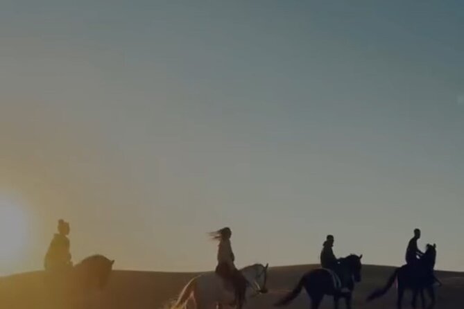 Essaouira Beach Horse Rides &Treks for All Levels - 1 Hour vs 1–2 Day Treks: How to Choose Your Amount of Morocco