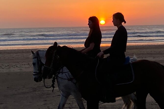 Essaouira Beach Horse Rides &Treks for All Levels - Price and Value: Why $23.24 Can Still Feel Like a Treat
