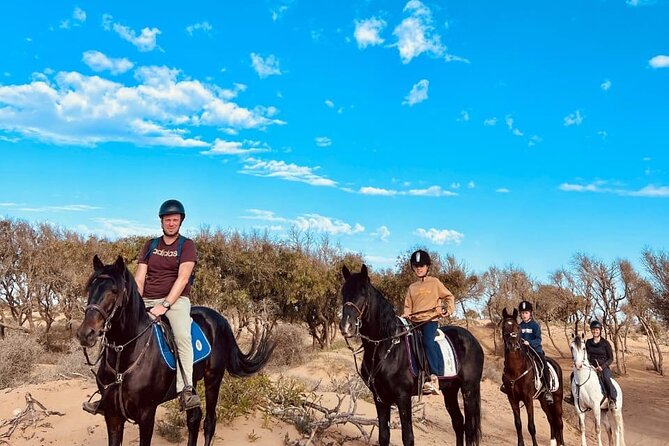 Essaouira Beach Horse Rides &Treks for All Levels - The Route: Argan Forest Trails, Dunes, and Atlantic Beach Time