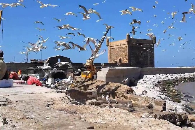 Essaouira Day Departure From Marrakech - The medina and ramparts: your best use of Essaouira time