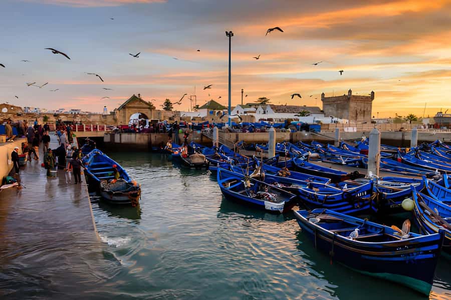 Essaouira Day Trip from Agadir - Free time in Essaouira: how to use it best