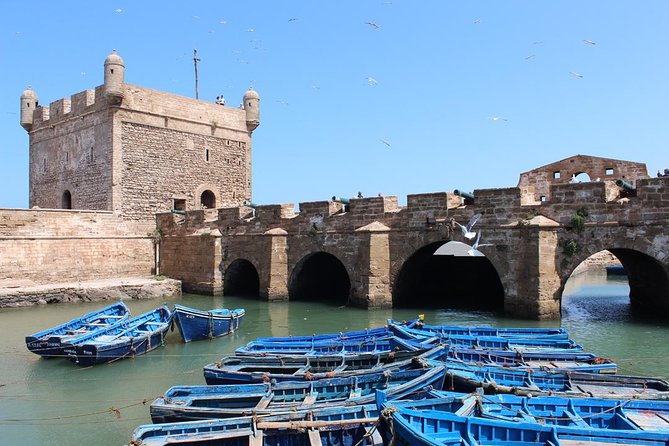 Essaouira day trip from Agadir & Taghazout - Why this Essaouira day trip works (even when you’re tight on time)