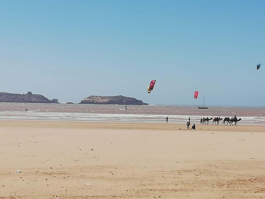 Essaouira Day Trip from Marrakech _ medina, old port - Best fit: who should book this Essaouira day trip