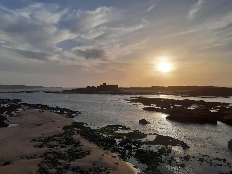 Essaouira Day Trip from Marrakech _ medina, old port - Guides and drivers who keep the day smooth (and worth it)