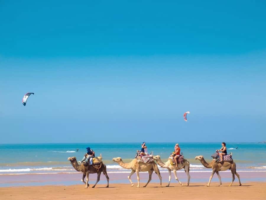 Essaouira Day Trip from Marrakech _ medina, old port - Price and value: why $14 can feel surprisingly fair