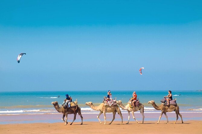 Essaouira Day Trip From Marrakech , Sea and Culture - Arriving in Essaouira: Medina Streets and the Harbor’s Old-World Edge