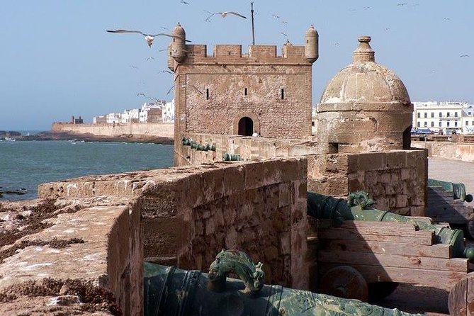 Essaouira Day trip from Marrakesh - Argan trees on the way and the goats stop