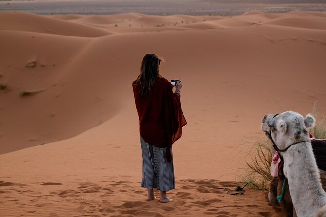 Essaouira Delight: A Marrakech Day Escape - Argan Forest Stop and the Women’s Cooperative: What to Look For