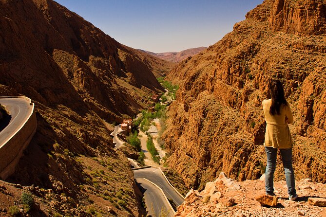 Essaouira Delight: A Marrakech Day Escape - The Drive Through the Haouz Plains: Your Morning Before the Sea
