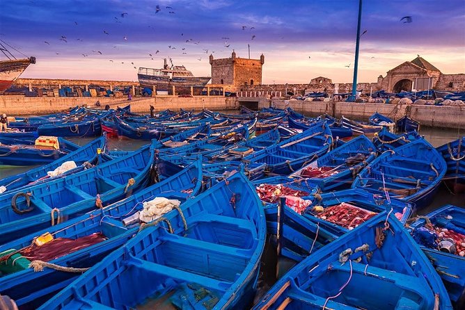 Essaouira excursion 1 day departure from Agadir - Key Highlights You’ll Actually Care About
