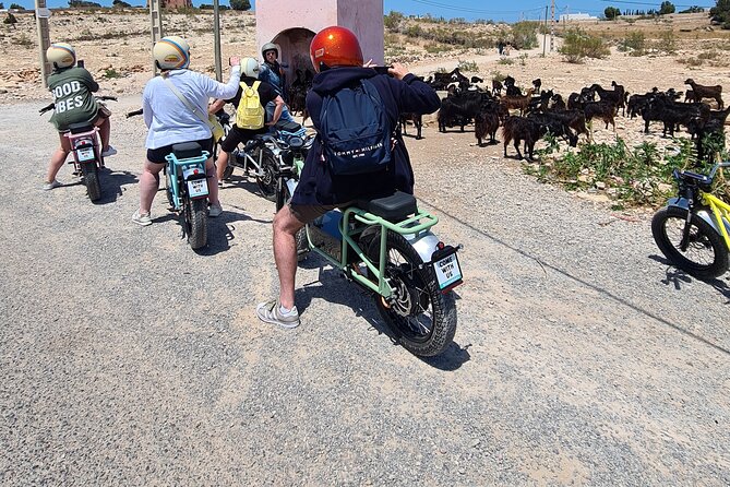 Essaouira Express Circuit by Electric Motorcycle - Stop-by-stop: ramparts, sea views, and the Indian Gate back to the medina