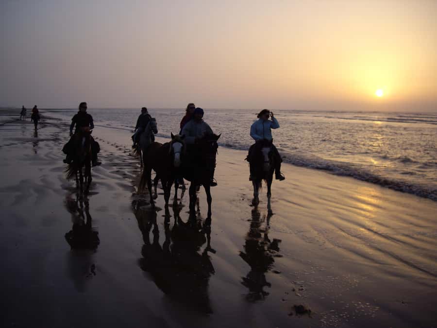 Essaouira: Full-Day Horse Riding Tour with Lunch - Ranch de Diabat Start: The Moment You’ll Notice the Tone