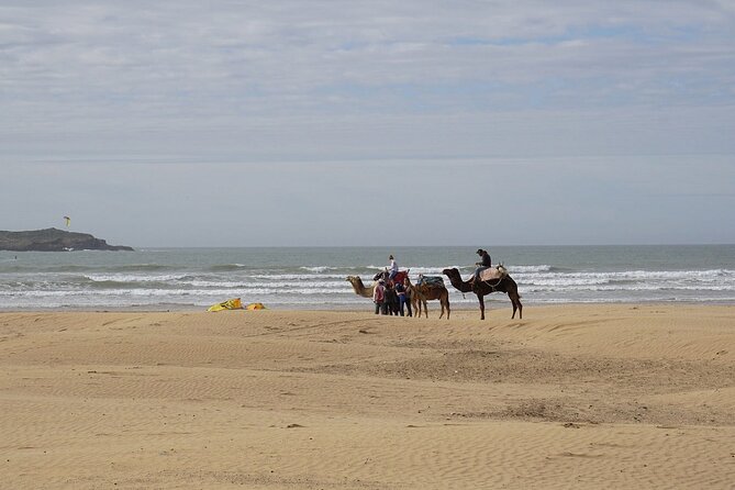 Essaouira Full-Day Tour from Marrakech - Ramparts and the port-town mindset: Mogador’s defenses