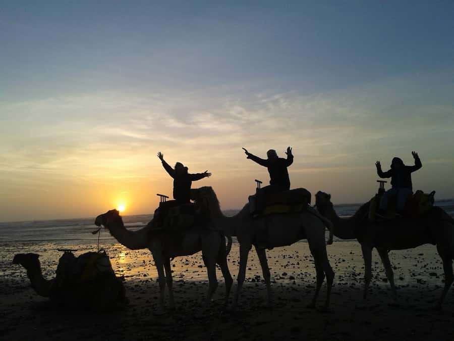 Essaouira: One Hour Dromedary Ride - Key highlights to know before you go