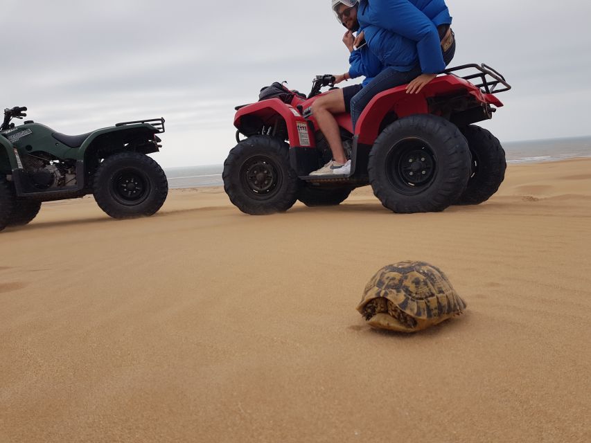 Essaouira P12 : 1h Quad bike tour and 1h dromedary Ride - What you’ll see on the quad: dunes, quiet beach, and quick photo pauses