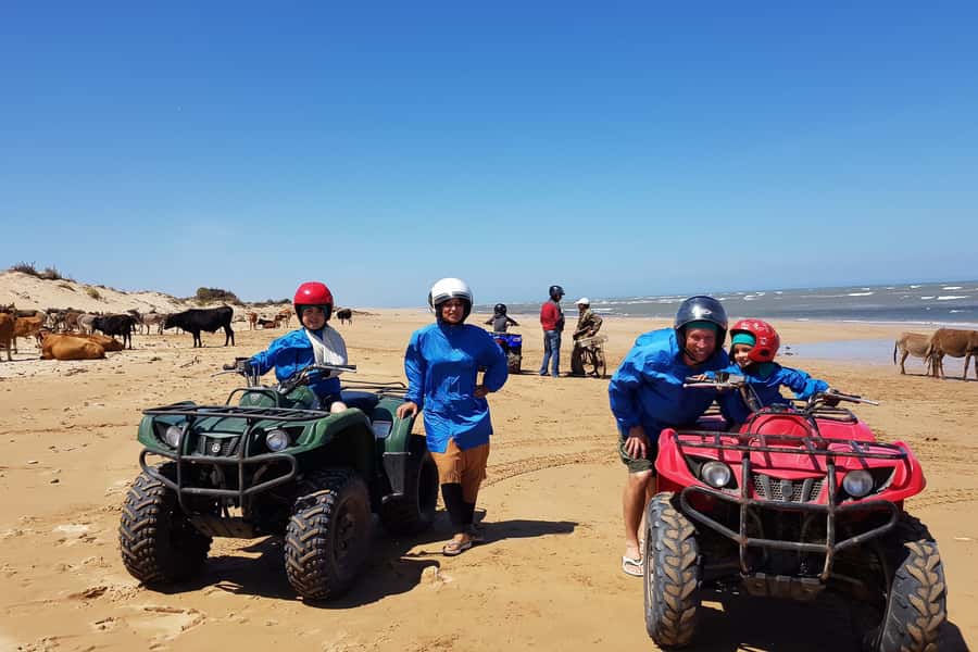 Essaouira P3: Quad tour forest beach dunes (free transfer) - Riding the pine forest: when the pace feels more controlled