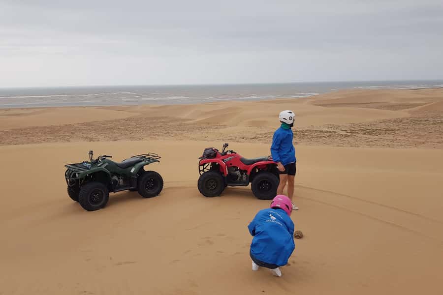 Essaouira P3: Quad tour forest beach dunes (free transfer) - Price and logistics: what $37 includes (and what it doesn’t)