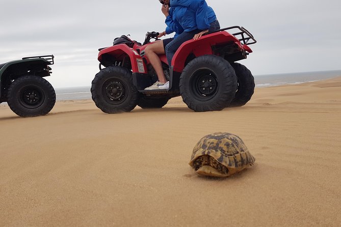 Essaouira: Pleasant Quad tour (free transfer) - Key highlights before you go